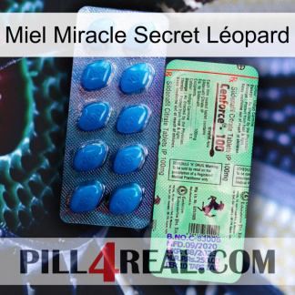 Miel Miracle Secret Léopard new02